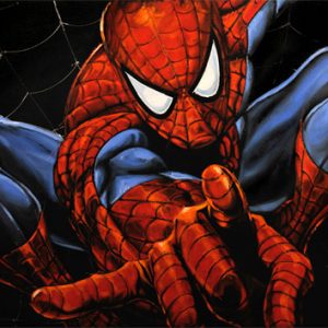 Spider-Man canvases and prints